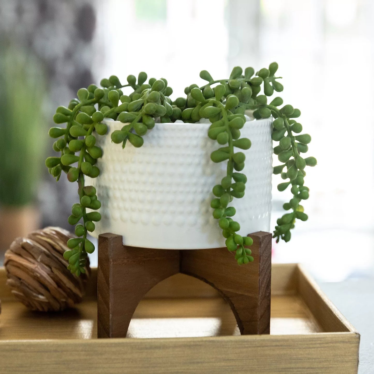 Faux String Of Pearls Plant in Planter